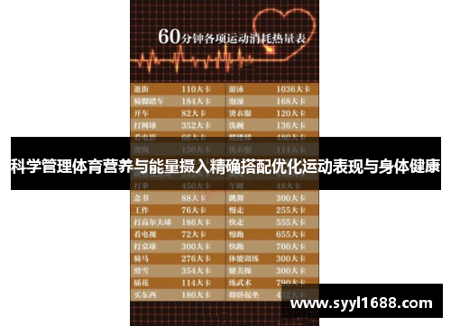 科学管理体育营养与能量摄入精确搭配优化运动表现与身体健康
